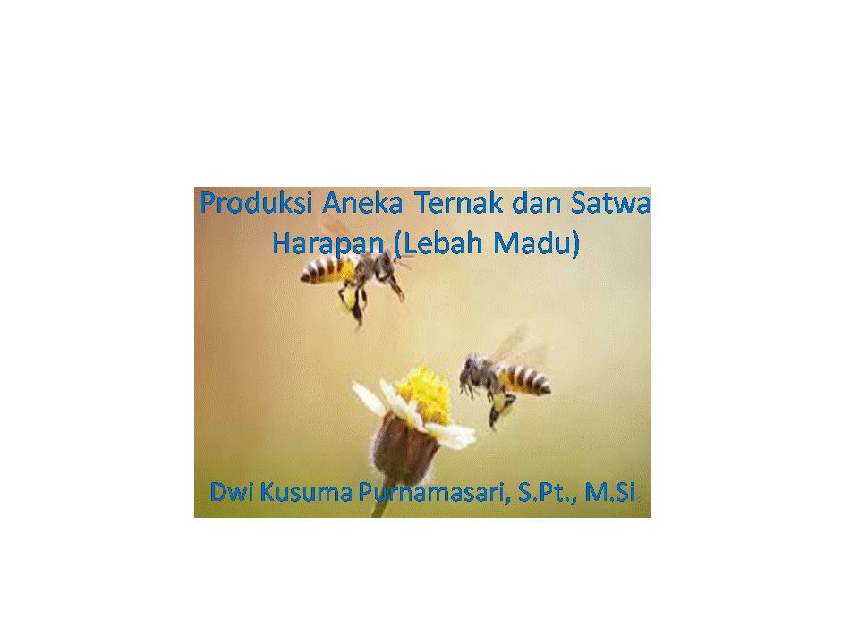Produksi Aneka Ternak dan Satwa Harapan (Lebah Madu)