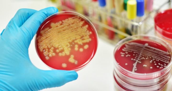 Mikrobiologi Farmasi Sem 2 TA 2021/2022