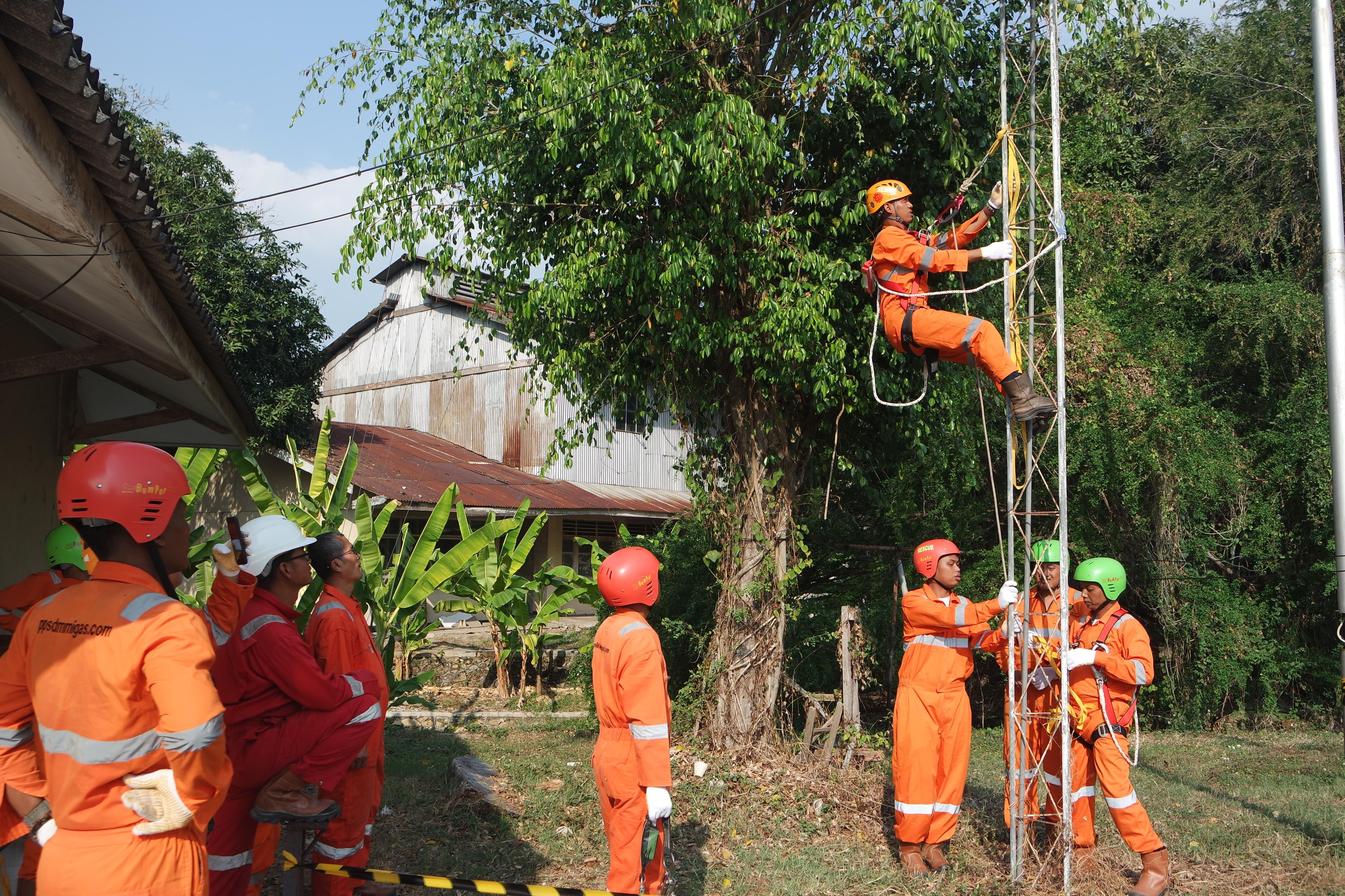 PERENCANAAN DAN PENGEMBANGAN SDM